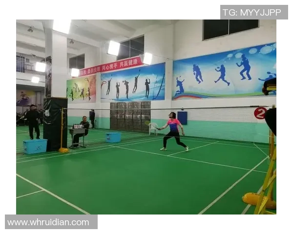 北京羽毛球队在精英赛中的意识表现分析与总结
