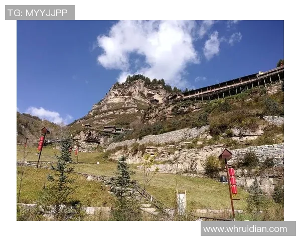 重温辉煌岁月的足球传奇人物与他们的历史足迹