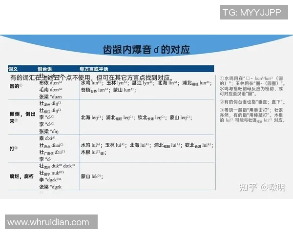 赛后分析:深圳网球队与南京网球队在比赛中的灵活性对比探讨 赛后分析:深圳网球队与南京网球队在比赛中的灵活性对比探讨